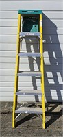 Heavy duty werner 6ft ladder