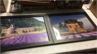 2 MATCHING FRAMED PICTURES 278"X21"