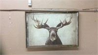 MOOSE PICTURE W/ RUSTIC FRAME, 39"X27"