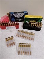 Group of 308 ammunition