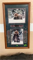 FRAMED GRIZZLY PHOTOGRAPHS, 16"X28"