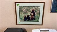 GRIZZLY BEAR & CUBS PHOTOGRAPH FRAMED, 19"X16"