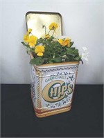 6x6x 10-in vintage tin with pansies