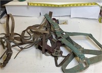 4-halters and bridles