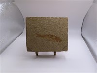 4" Fossil Stone w/ brass tripod holder