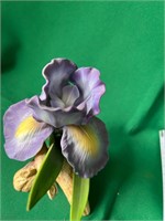Purple Mere Iris by Andrea