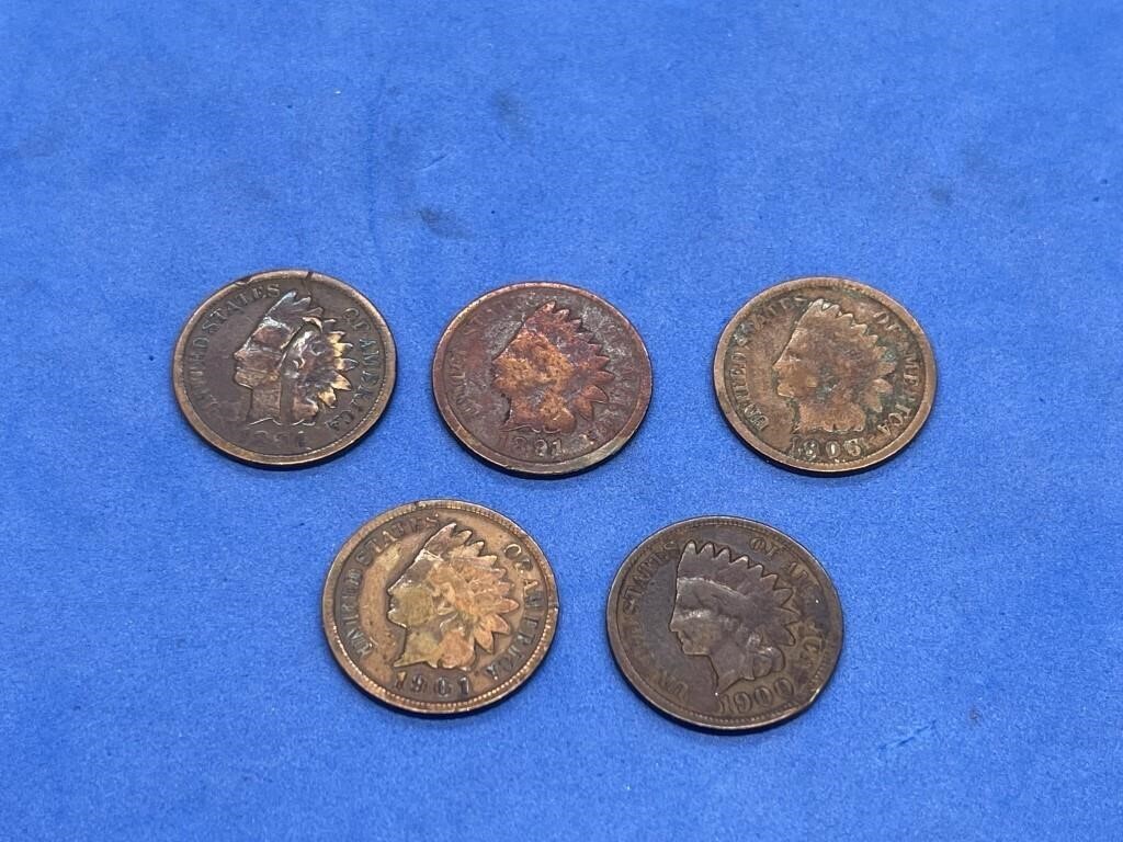 Lot of Indian Head Pennies (5)