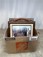 Assortment of llama framed pictures