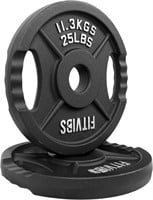 25lb pair 2-Inch Cast Iron Weight Plates