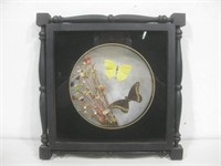 12"x 12" Framed Butterfly Decor