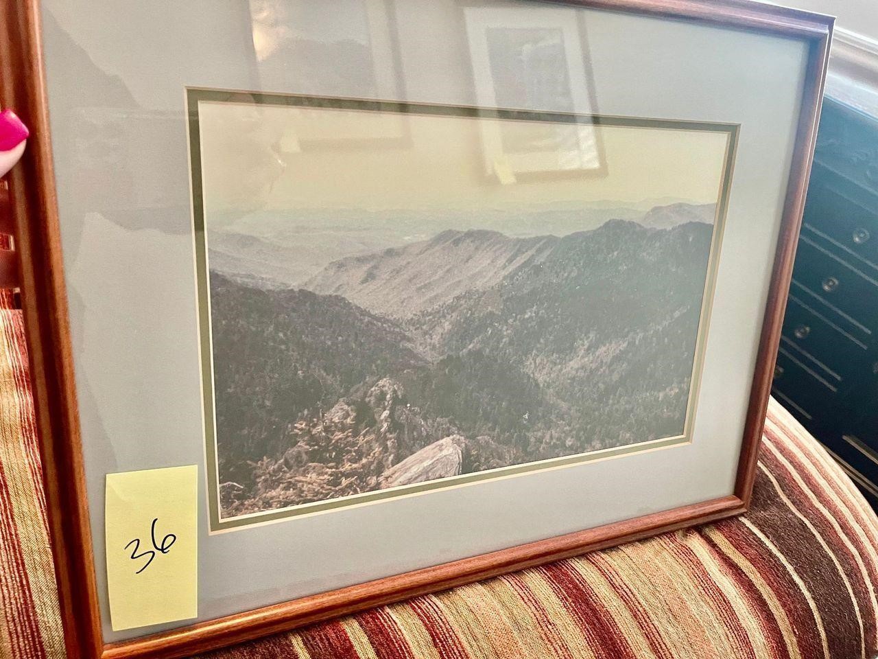 enlarged photographs of mountains etc