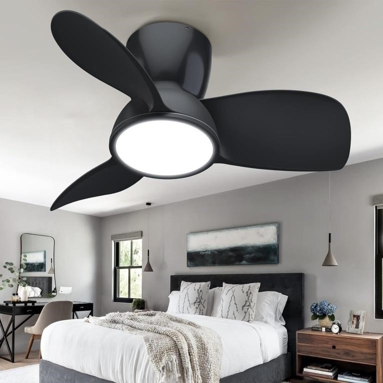 slochi Black Quiet Ceiling Fan with Lights 32""