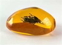 Large Amber Resin Stone W/Beetle 48 Grams