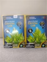 2 Glow-In-The-Dark Crystal Labs