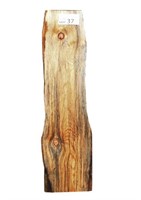 Dressed Timber Slab Norfolk Island Pine