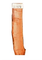 Dressed Timber Slab Southern Bluegum, 1000x200x48