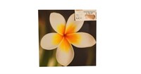 Oil Painting on stretched Canvas (Frangipani), 500