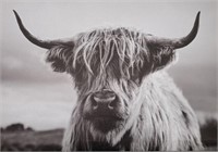 Highland Cow Wall Art 16" x 24"