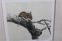 White Footed Mouse / Signed Robert Bateman 18/20