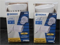 2 Sigma 800 Lumens Metal LED Weatherproof Lights