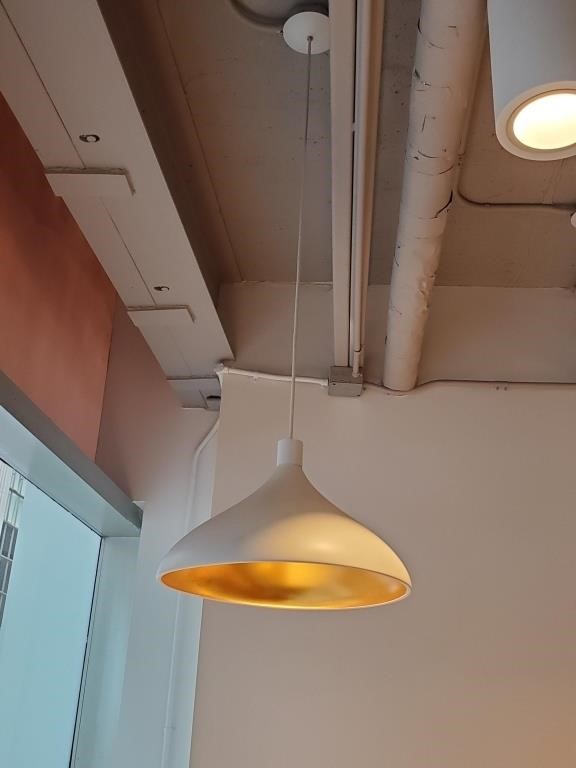 Large Pendant Lights