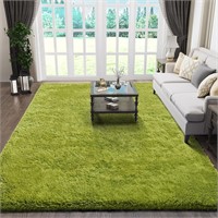$50  Green Rug 5x8  Plush Carpet  7-Green