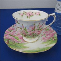 Vintage Royal Albert Tea Cup & Saucer Blossom Time