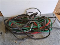 8 used cow halters
