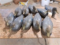 10 plastic duck decoys