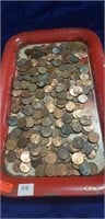 Tray Of Unsearched Pennies