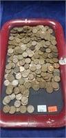 Tray Of Assorted Unsearched Wheat Pennies