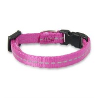 $13  Vibrant Life Dog Collar  Purple  X-Small