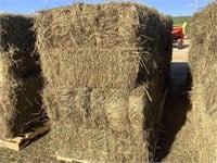 32 Square Bales Of 2nd Crop Grass