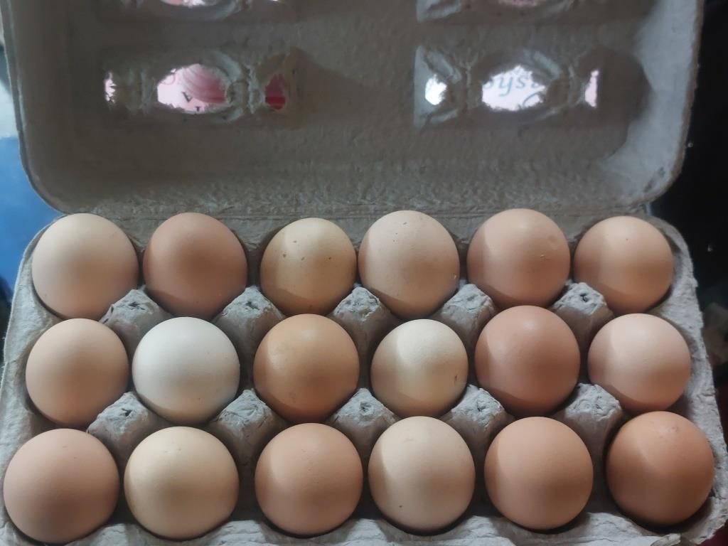 18 farm fresh eggs have not been washed or