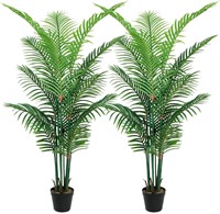Areca Palm Tree  6ft  15 Trunks  2PC
