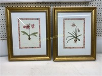 2 FRAMED AND MATTED PRINTS