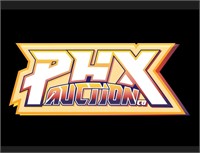 YOU ARE BIDDING IN THE PHX AUTION CO AUCTION