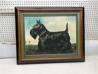 FRAMED AND MATTED SCOTTY DOG OIL ON CANVAS