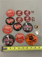 NHL Detroit Red Wings Pins & Magnets