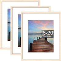 16x20 Poster Frame 3 Pack  Picture Frames with Det