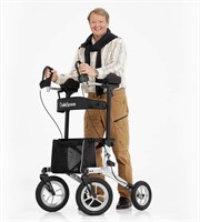 $250  OasisSpace Upright Walker with 12 Pneumatic