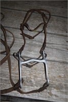 Horse Bit and Bridle