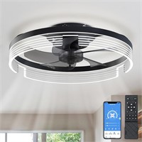 $100  Low Profile Ceiling Fan with Light: 20' Mode