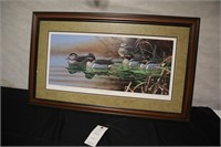 Backwater Greenwings Framed Picture 36"X22"