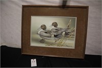 Sherrie Russell Meline Northern Pintail Print