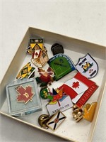 Collection of Lapel Pins