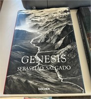Genesis Sebastiao Salgado