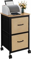 Small File Cabinet with 2 Rattan Fabirc Drawer