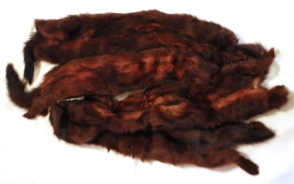 Antique Mink Fur - 24" long