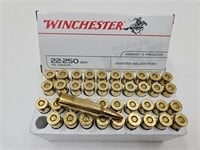 22-250 REM  40 RDS Gun Ammo